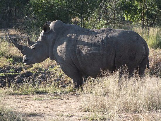 Hlane Royal Nationalpark